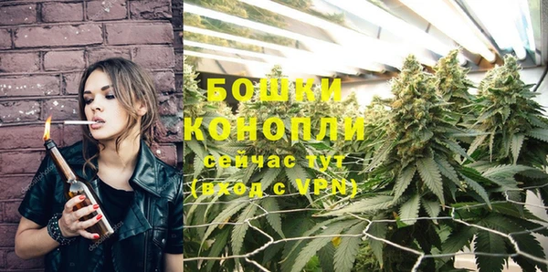 MESCALINE Новозыбков