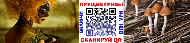 Псилоцибиновые грибы ЛСД  купить закладку  Ульяновск 